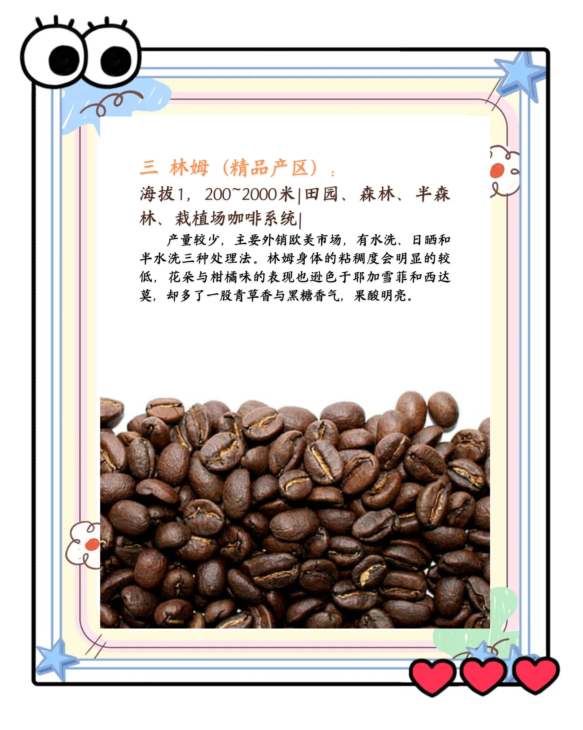 咖啡生豆期货(咖啡生豆期货在哪买)